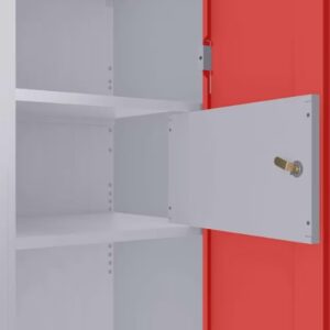 Almirah 2-Door, G24/26, 50-55kg, Cupboard for Clothes, 1-Year Warranty, 4 Shelves